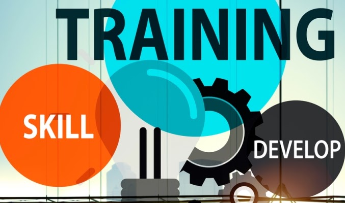 entrepreneurship pro